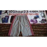 Шорты Lebron Miami 6